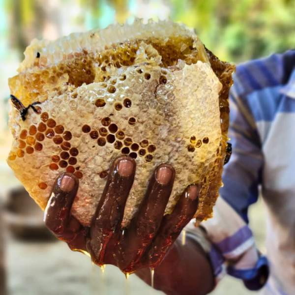 পাহাড়ি চাকের মধু ১ কেজি - Image 2